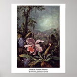 Orchidspassion blommar vid Martin Johnson Heade Affischer