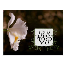 Orchidsvarskort Vykort