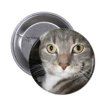 Ordföranden jamar pins