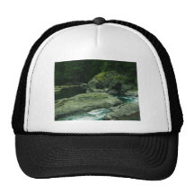 Oregon plats baseball hat