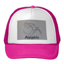 Orientaliskt damsportlock som är rosa mesh kepsar