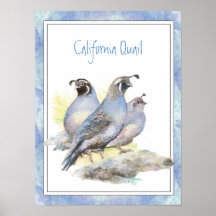 Original- fågel för vattenfärgKalifornien Quail Posters