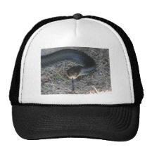 Orm Baseball Hat