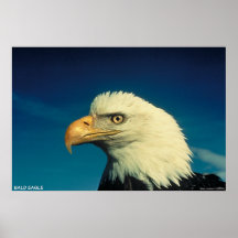 Örn Posters