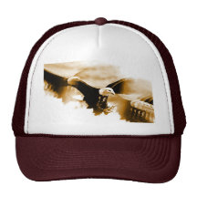 Örnlandning Baseball Hat