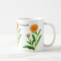 Örtagårdserie - ringblomma kaffe kopp