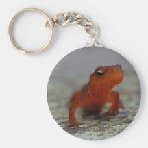 Östlig Newtkeychain Nyckel Ring