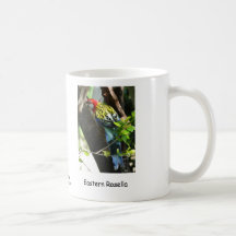 Östliga Rosella Kaffe Kopp