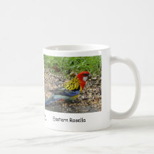 Östliga Rosella Kaffe Mugg