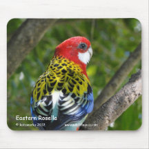 Östliga Rosella Musmatta