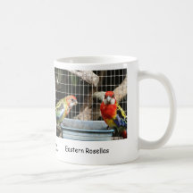 Östliga Rosellas Kaffe Mugg