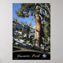 ÖSTLIGA YOSEMITE AFFISCH