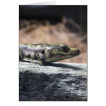Otago Skink Hälsningskort