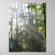 Ottasolen Rays #16 Print
