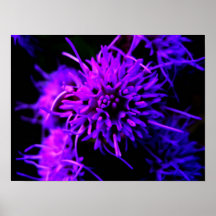 Överexponerat Print