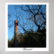 Överlevnad Print