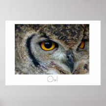Owlaffischdesign
