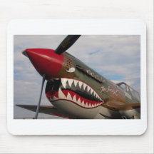 P-40 Warhawk Musmatta