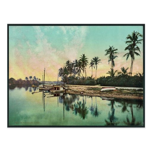 På den Miami flodsällsyntet Photochrom Vykort