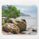 På kusterna av Loch Ness Musmatta