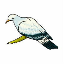 Padma Pigeon.png Cut Outs
