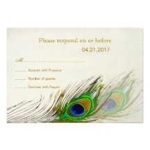 Påfågeln befjädrar OSAinbjudan