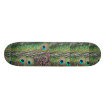 Påfågeln befjädrar tätt upp peafowldesign skateboard deck