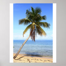 Palm Beach Posters