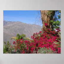 Palm Spring (4) Print