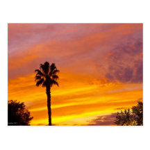 Palm Spring solnedgång Vykort