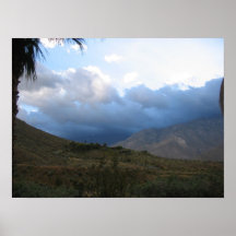 Palm Spring storm Print