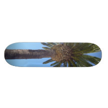 Palmträd på San Diego, CA Skateboard