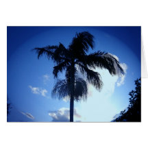 Palmtree Kort