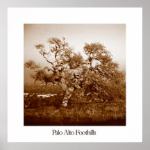 Palo Alto Foothills Print