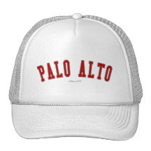 Palo Alto Mesh Kepsar