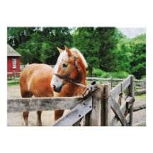 Palomino i paddock kort för inbjudningar