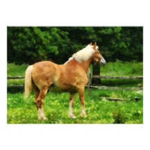 Palomino som bort går personliga inbjudningskort