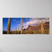 Panarama 32 posters
