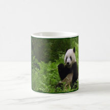 Panda Kaffe Koppar