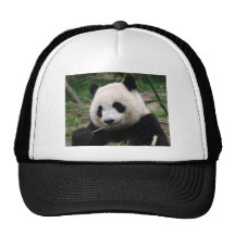 Panda Mesh Kepsar