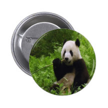 Panda Nål