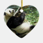 Panda- och bambuprydnad juldekoration