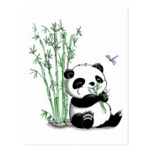 Panda som äter bambu vykort