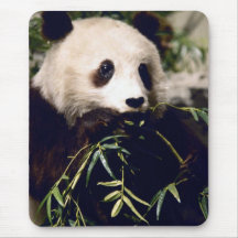 Panda som har lite lunch.  Mousepad Mus Mattor