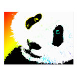 panda. vykort