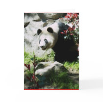 Pandaleende