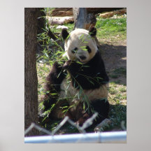 Pandavanvettdel III Affisch