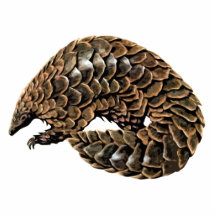 Pangolinutklippmagnet/skulptur Photo Cut Outs
