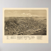 Panorama- 1886 kartlägger fåglar synar beskådar, h print