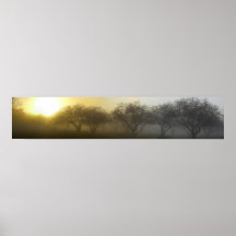 Panorama- dimmig morgon posters